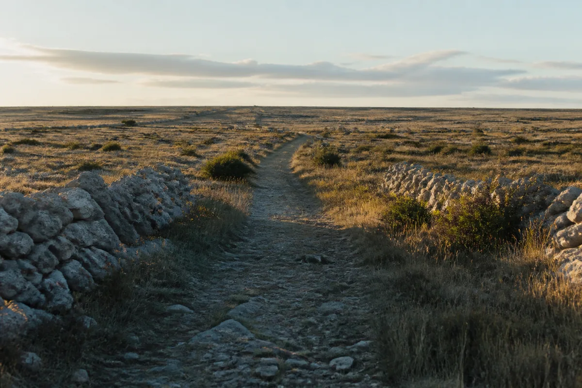Sentier de randonnée désert sur le causse, murets de pierre sèche et brebis au loin